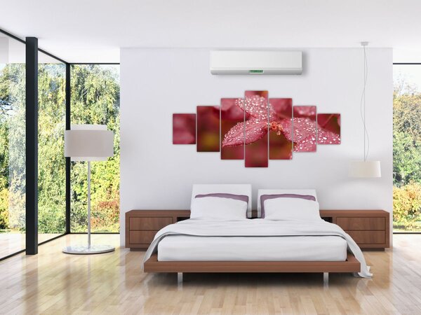 Obraz - Makro snímek lístku (210x100 cm)