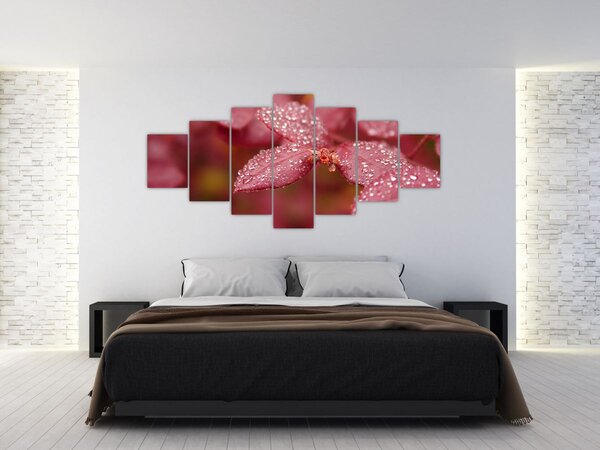 Obraz - Makro snímek lístku (210x100 cm)