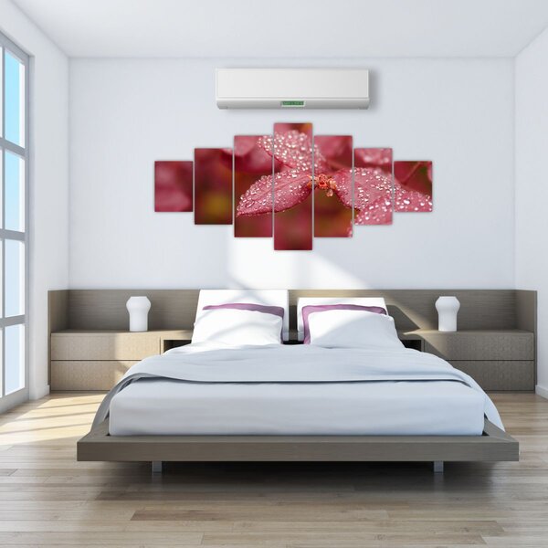 Obraz - Makro snímek lístku (210x100 cm)