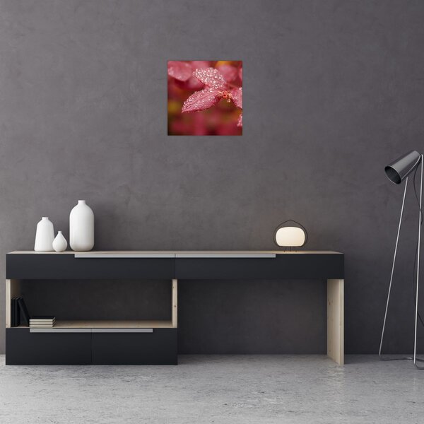 Obraz - Makro snímek lístku (30x30 cm)