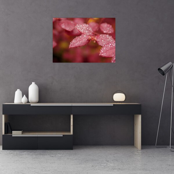 Obraz - Makro snímek lístku (70x50 cm)