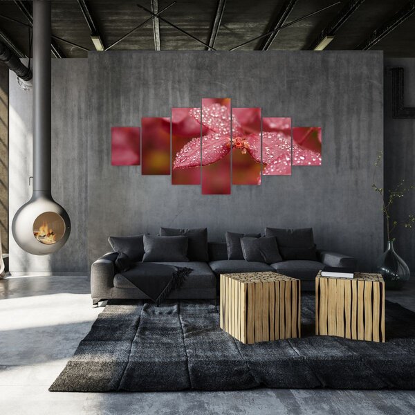 Obraz - Makro snímek lístku (210x100 cm)