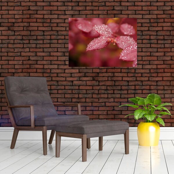 Obraz - Makro snímek lístku (70x50 cm)
