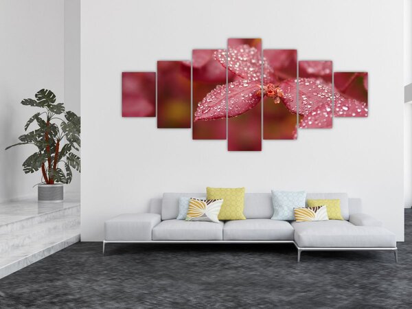 Obraz - Makro snímek lístku (210x100 cm)