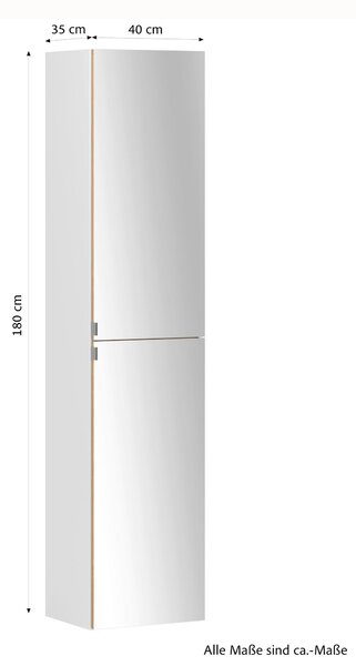 ZRCADLOVÁ SKŘÍŇKA, bílá, bílá, 40/180/35 cm Held - Koupelnové série, Online Only