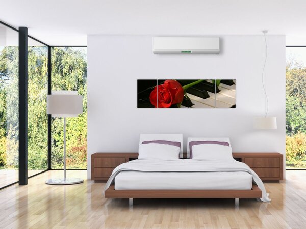 Obraz - Klavír a růže (170x50 cm)