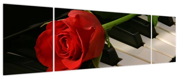 Obraz - Klavír a růže (170x50 cm)