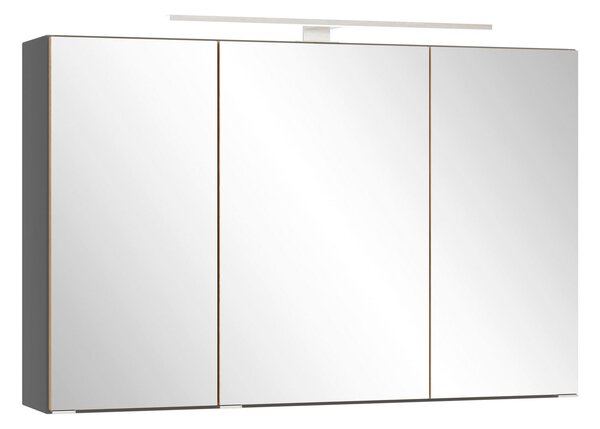 ZRCADLOVÁ SKŘÍŇKA, divoký dub, šedá, 100/64/20 cm Held - Koupelnové série, Online Only