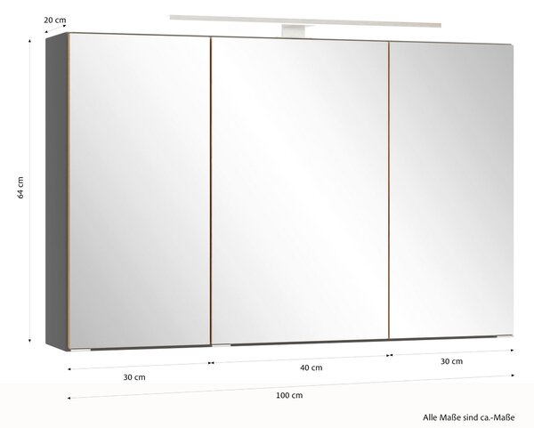 ZRCADLOVÁ SKŘÍŇKA, divoký dub, šedá, 100/64/20 cm Held - Koupelnové série, Online Only