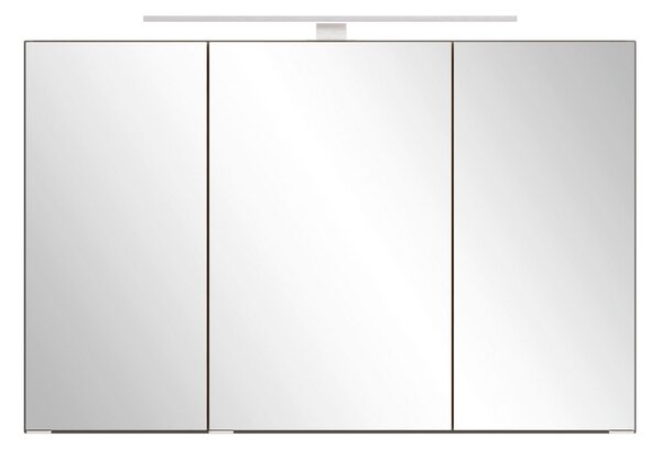 ZRCADLOVÁ SKŘÍŇKA, divoký dub, šedá, 100/64/20 cm Held - Koupelnové série, Online Only