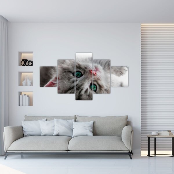 Obraz - Kočka se zelenýma očima (125x70 cm)