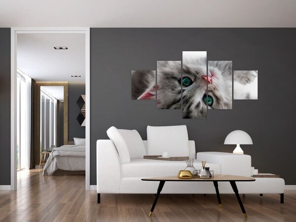 Obraz - Kočka se zelenýma očima (125x70 cm)