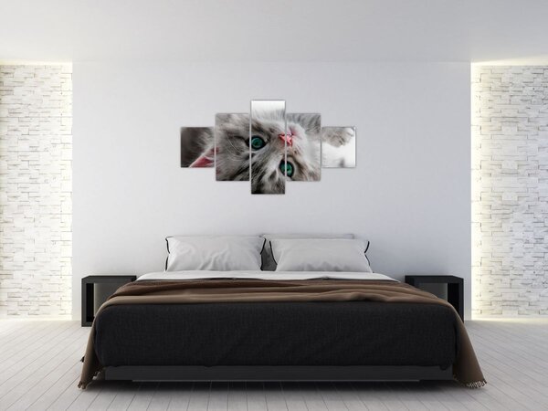 Obraz - Kočka se zelenýma očima (125x70 cm)