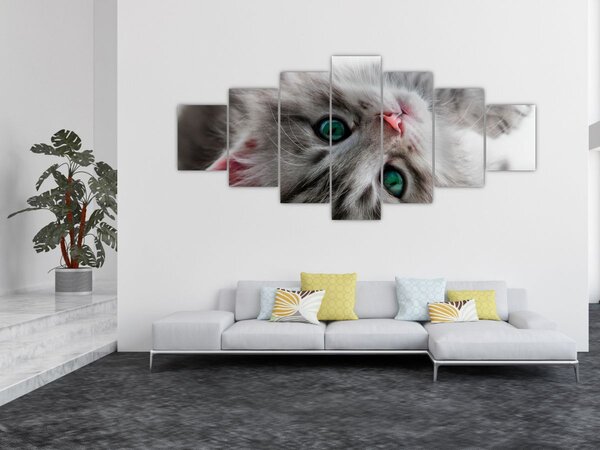 Obraz - Kočka se zelenýma očima (210x100 cm)