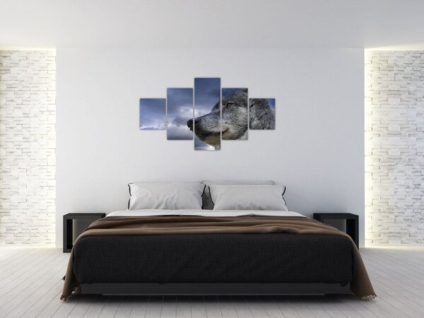 Obraz - Vlčí hlava (125x70 cm)