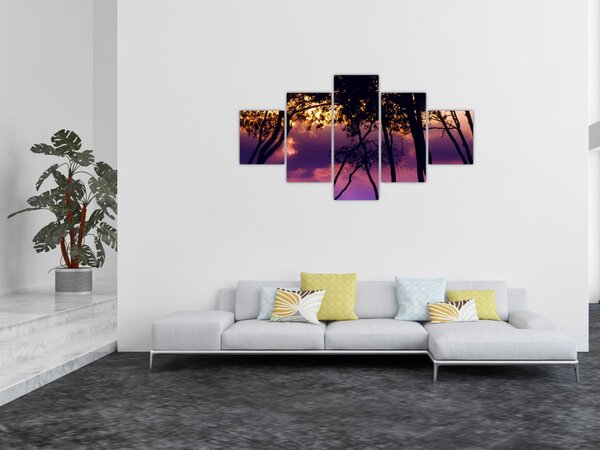 Obraz - Stromy při západu slunce (125x70 cm)