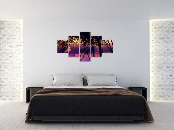 Obraz - Stromy při západu slunce (125x70 cm)