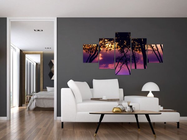 Obraz - Stromy při západu slunce (125x70 cm)