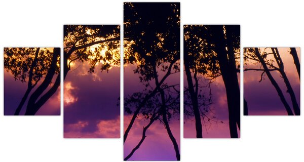 Obraz - Stromy při západu slunce (125x70 cm)