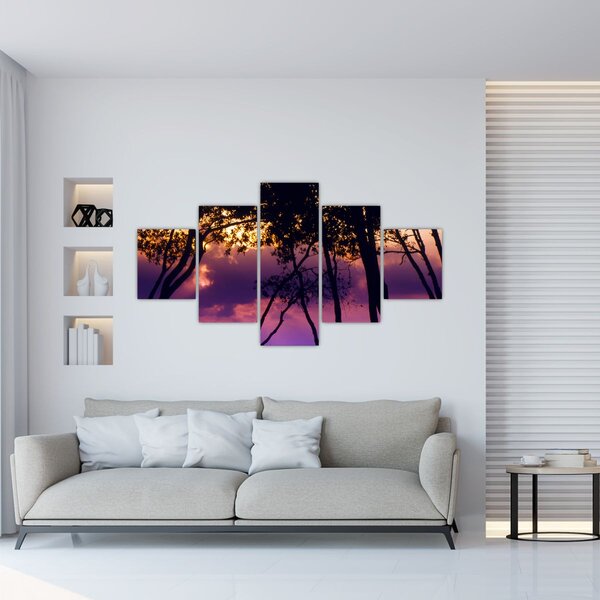 Obraz - Stromy při západu slunce (125x70 cm)