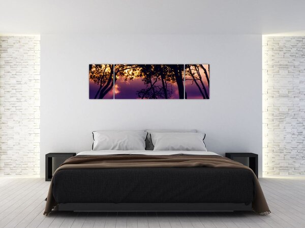 Obraz - Stromy při západu slunce (170x50 cm)