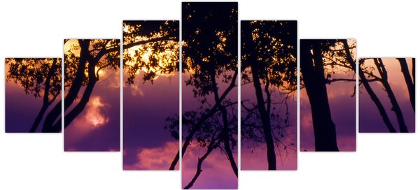 Obraz - Stromy při západu slunce (210x100 cm)
