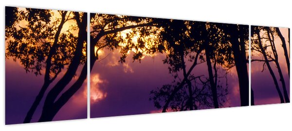Obraz - Stromy při západu slunce (170x50 cm)