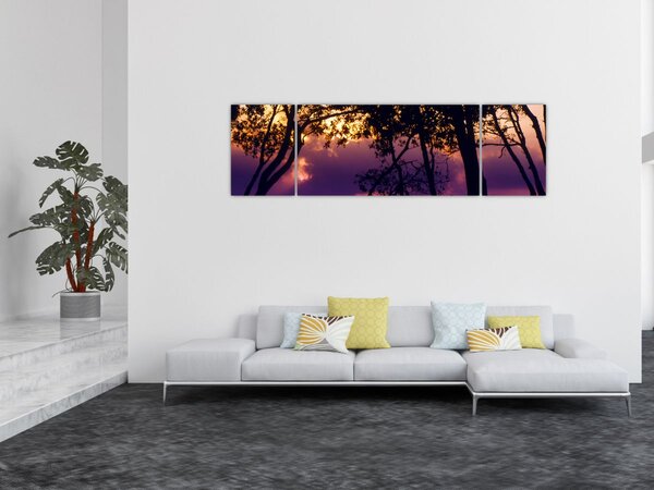 Obraz - Stromy při západu slunce (170x50 cm)