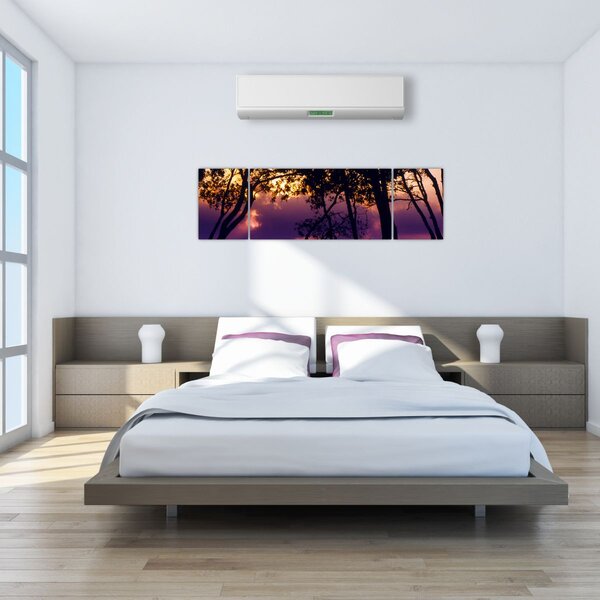 Obraz - Stromy při západu slunce (170x50 cm)