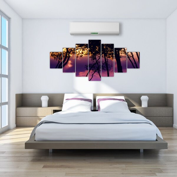 Obraz - Stromy při západu slunce (210x100 cm)
