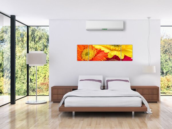 Obraz - Květy Gerbery (170x50 cm)