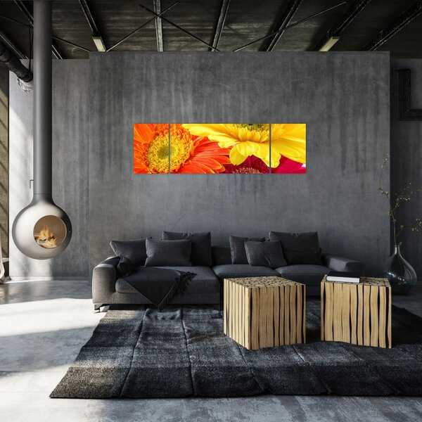 Obraz - Květy Gerbery (170x50 cm)