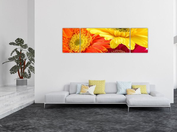 Obraz - Květy Gerbery (170x50 cm)