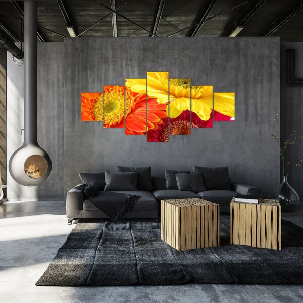 Obraz - Květy Gerbery (210x100 cm)