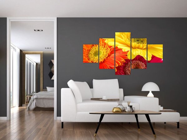 Obraz - Květy Gerbery (125x70 cm)