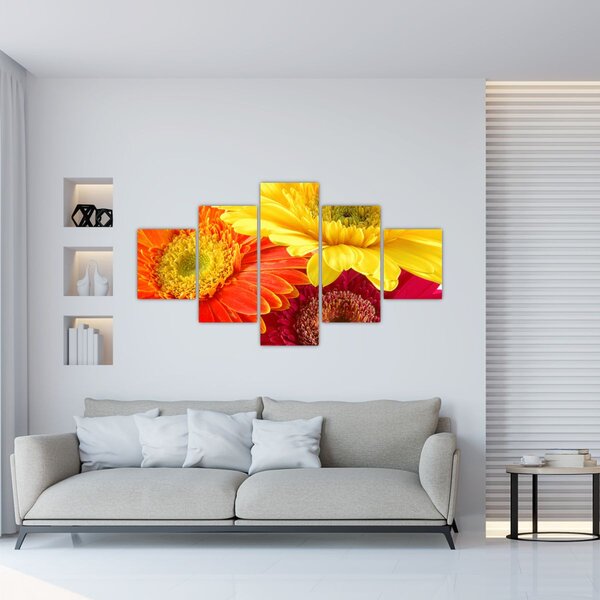Obraz - Květy Gerbery (125x70 cm)