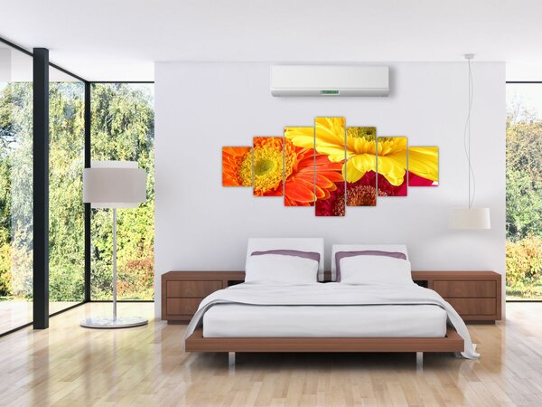 Obraz - Květy Gerbery (210x100 cm)