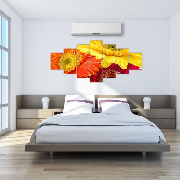 Obraz - Květy Gerbery (210x100 cm)