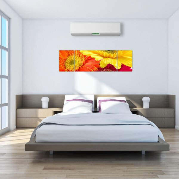 Obraz - Květy Gerbery (170x50 cm)