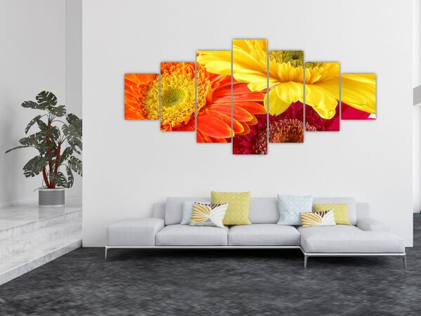 Obraz - Květy Gerbery (210x100 cm)