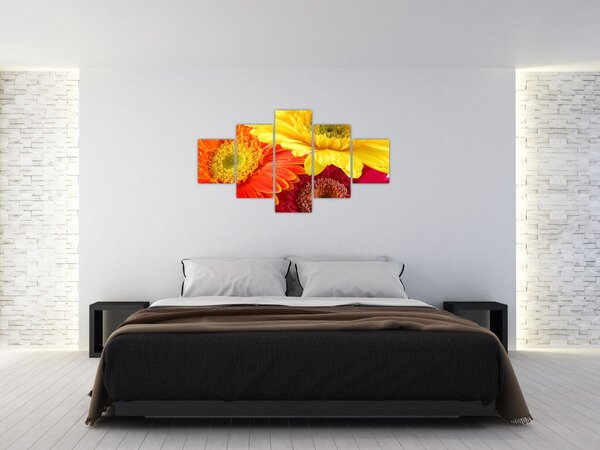 Obraz - Květy Gerbery (125x70 cm)