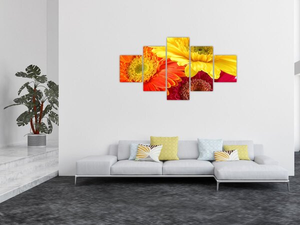 Obraz - Květy Gerbery (125x70 cm)
