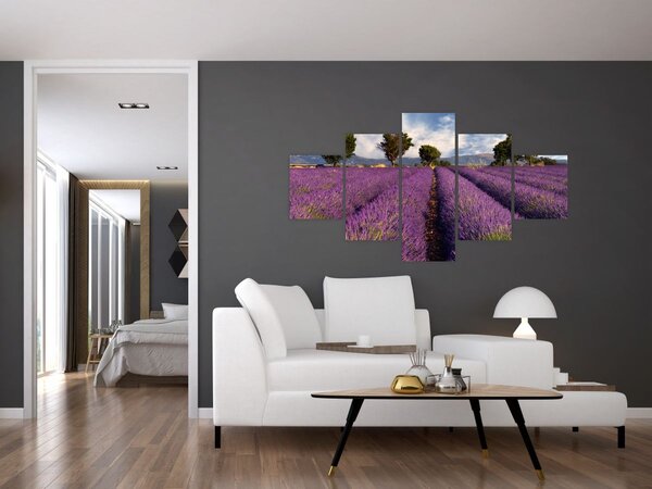 Obraz - Levandulové pole a hory (125x70 cm)