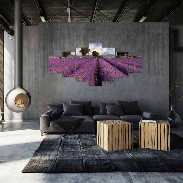 Obraz - Levandulové pole a hory (210x100 cm)