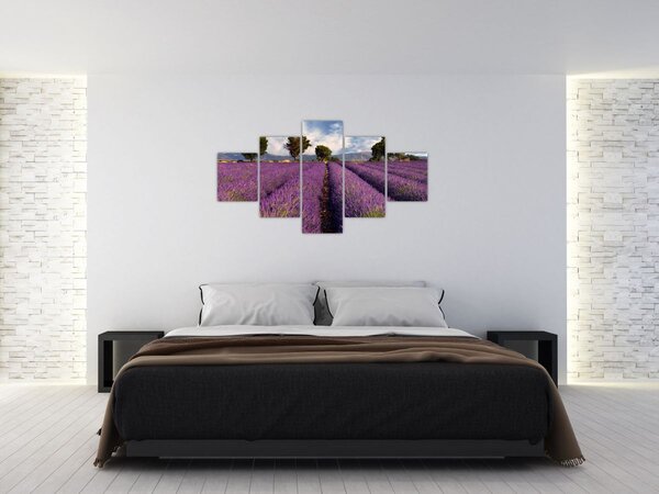 Obraz - Levandulové pole a hory (125x70 cm)