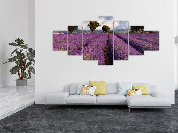 Obraz - Levandulové pole a hory (210x100 cm)