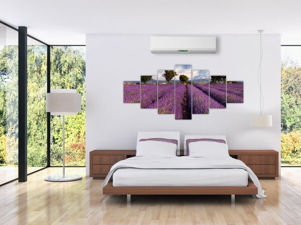Obraz - Levandulové pole a hory (210x100 cm)
