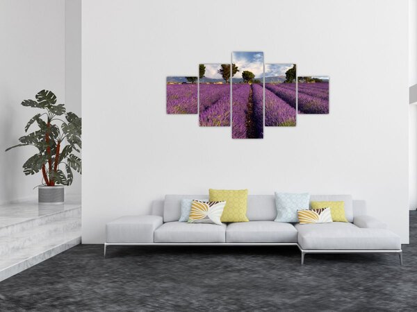 Obraz - Levandulové pole a hory (125x70 cm)