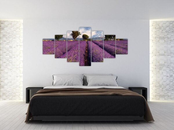 Obraz - Levandulové pole a hory (210x100 cm)