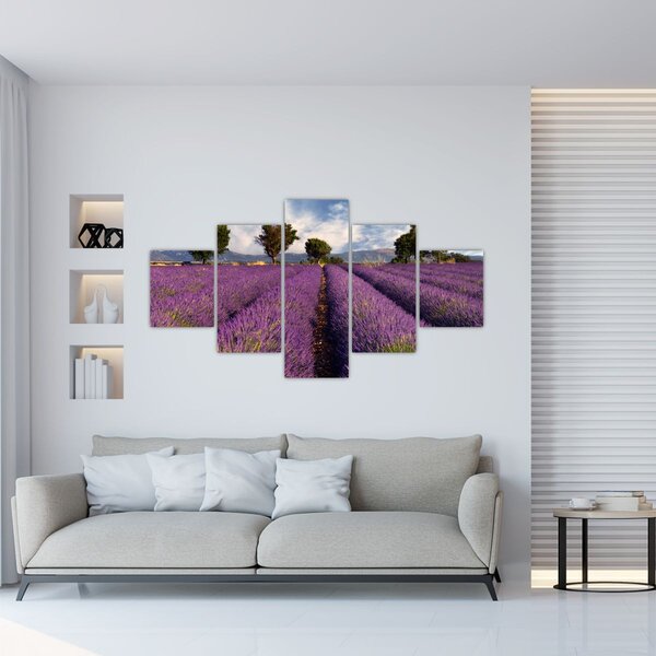 Obraz - Levandulové pole a hory (125x70 cm)